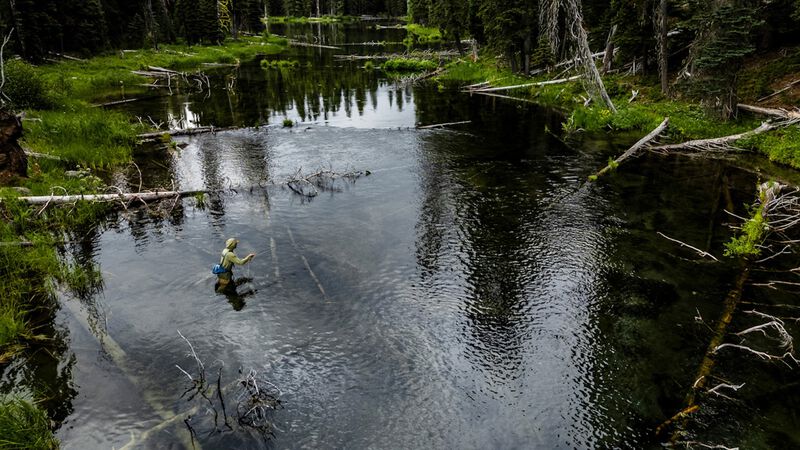 Patagonia Fly Fish