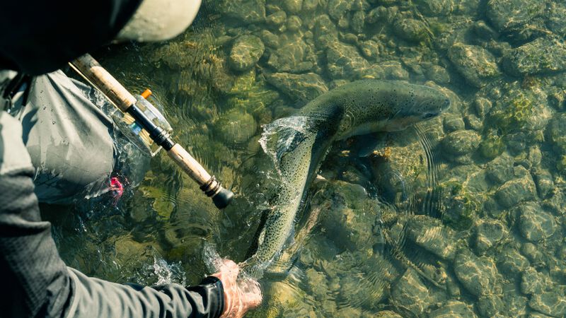 Patagonia Fly Fish