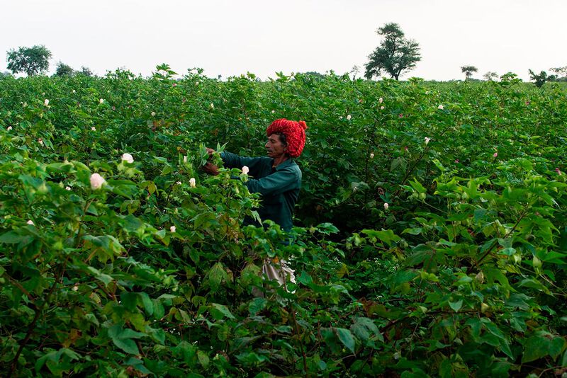 Cotton for Change