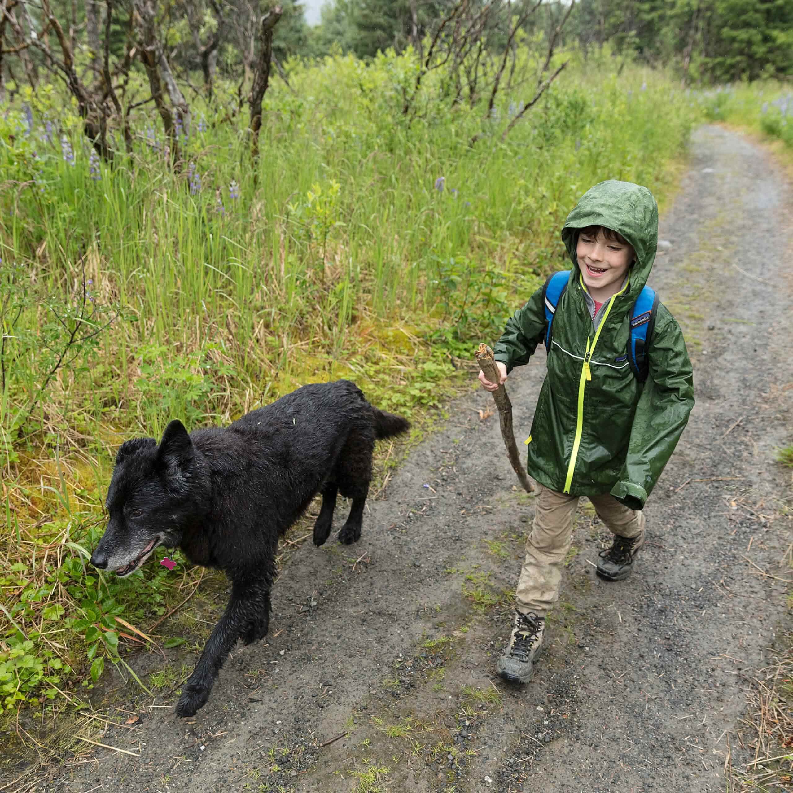 Jackets: Winter, Fall, & Spring by Patagonia
